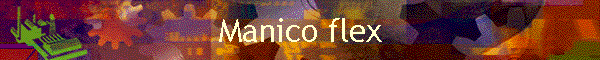 Manico flex